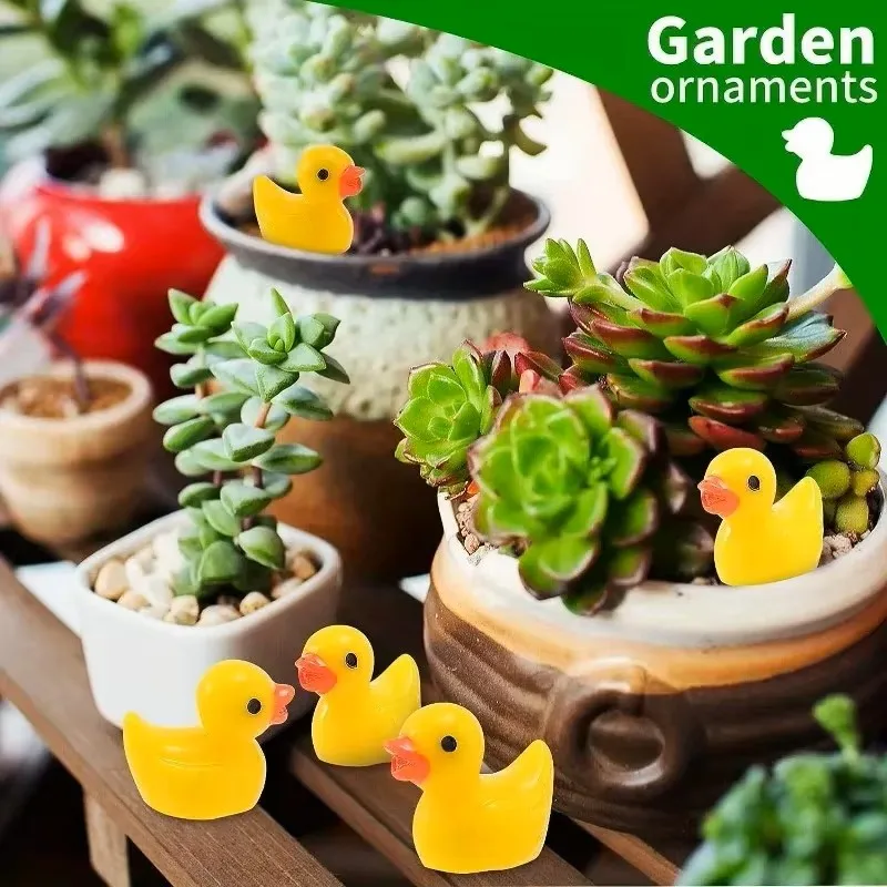 Mini Resin Ducks Bulk Tiny Duc - Games Garden Party review and price